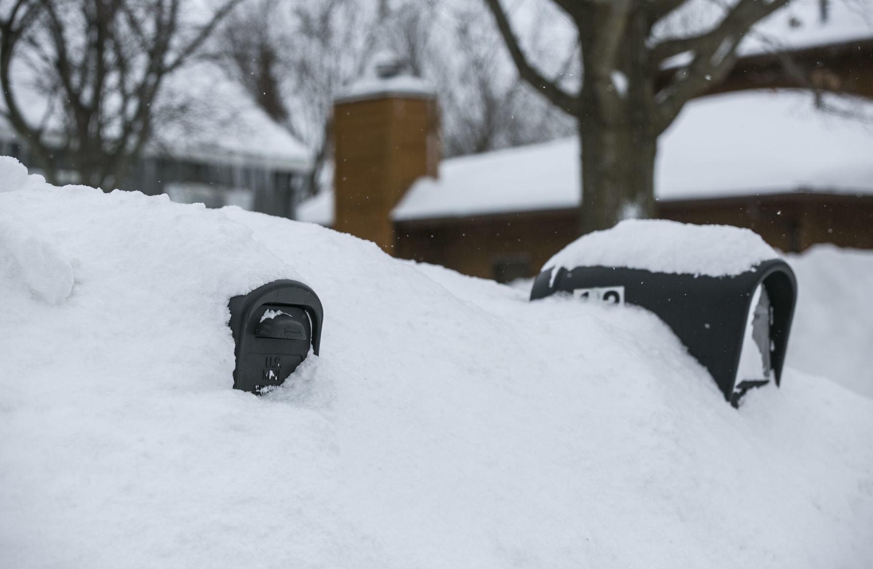 Blizzard 13